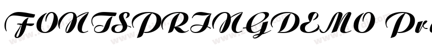 FONTSPRINGDEMO Premi字体转换